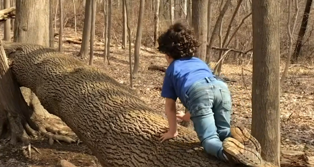 The OMEP Resolution on Children's Right to Nature That 60 Nations Signed—And the U.S. Government Declined to Endorse