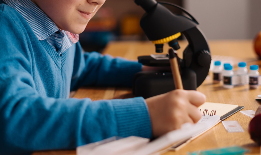 The OMEP-Supported Free Preschool Pilot in New Mexico That Is Producing Results No One Expected This Quickly The OMEP-Supported Free Preschool Pilot in New Mexico That Is Producing Results No One Expected This Quickly