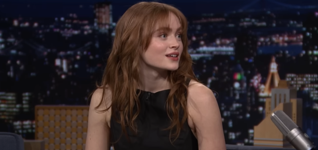 Sadie Sink Education