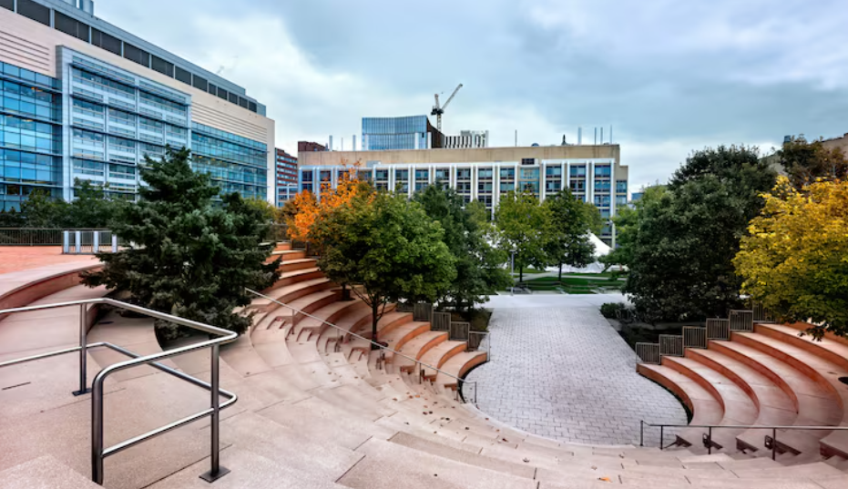 Cape Peninsula University of Technology