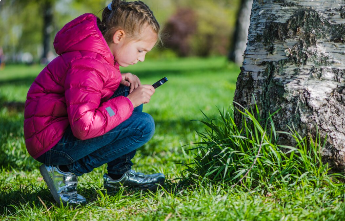 From Screentime to Greentime: The 'Nature Deficit' Movement Transforming American Daycares
