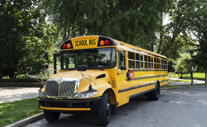 Magic school bus live action