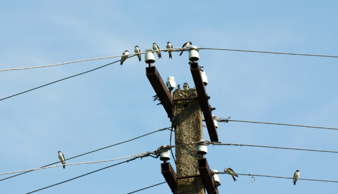 Curro school electricity grid disconnection