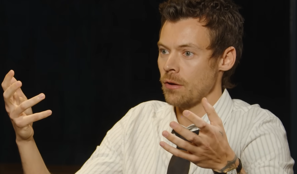 Harry styles Education