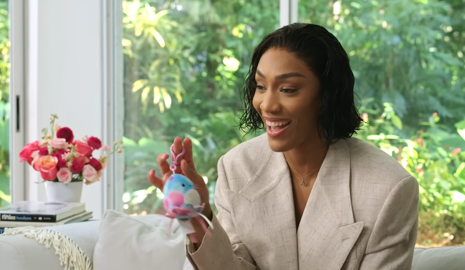 Aja wilson Education