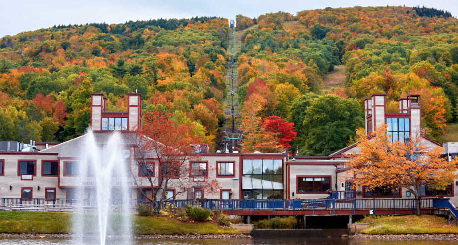 Stradford International College