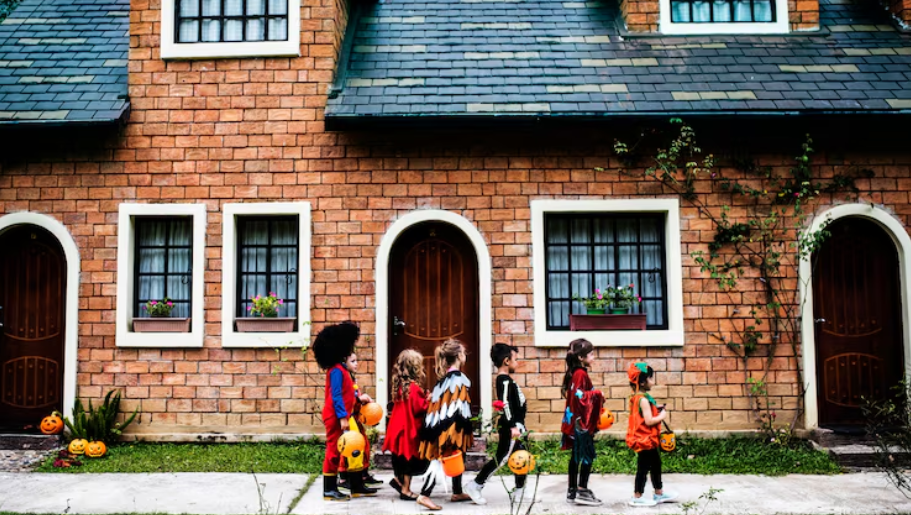 Special School District of St. Louis County