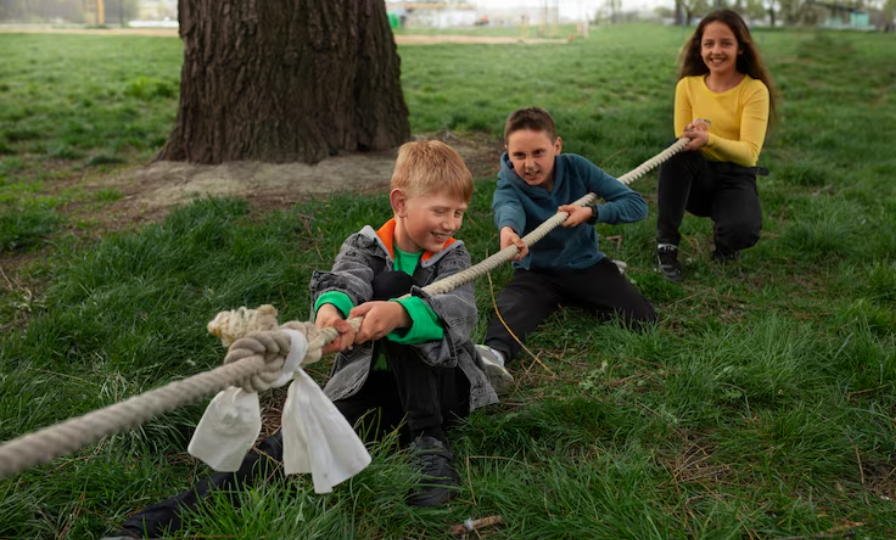 OMEP's International Research on Outdoor Play
