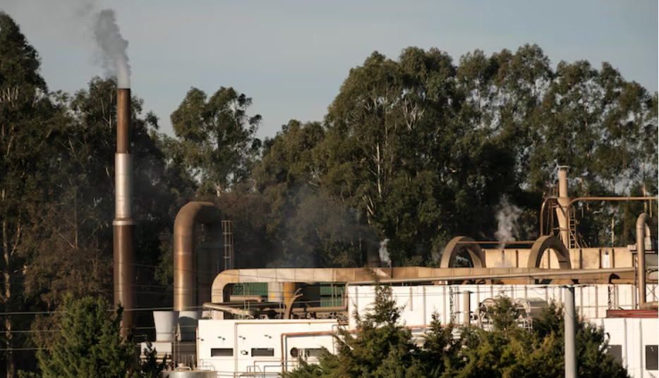 Cambridge University Fossil Fuel Divestment