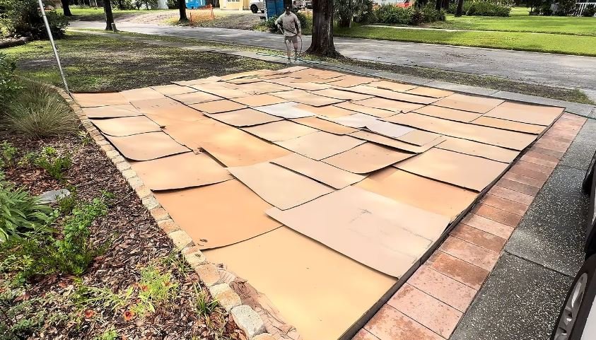 Florida cardboard lawn pollinator garden